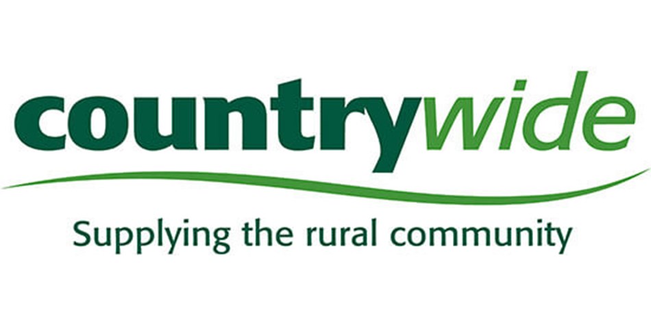 Countrywide Case Study-image